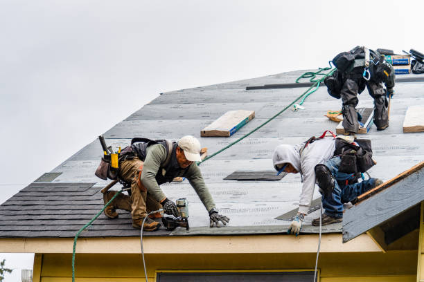 Professional Gutter Installation technician working in Seaford, VA